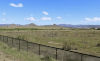 Featured Box Image